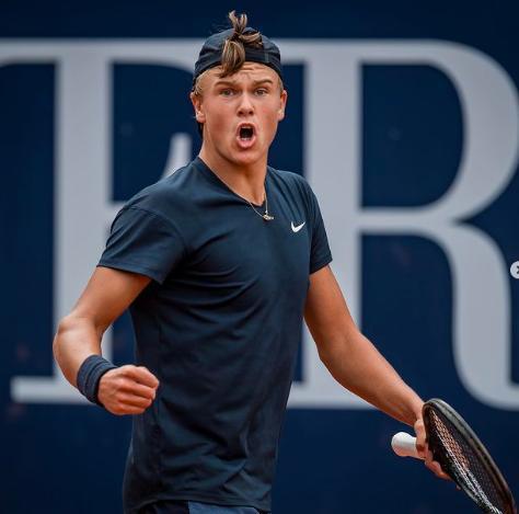 埃里克森的 埃里克森的